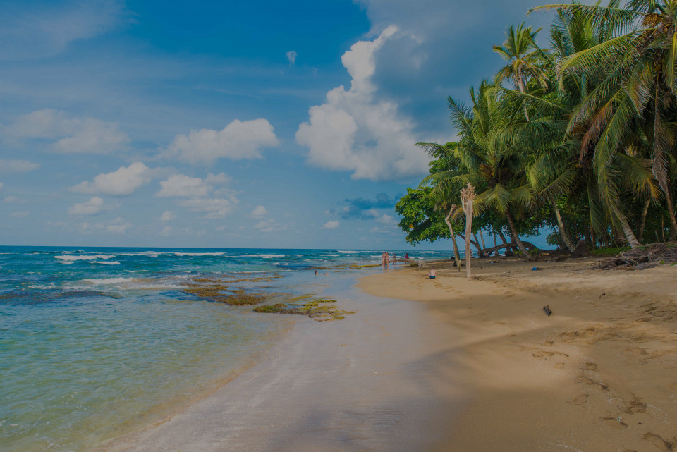 Puerto Viejo, the luxury real estate hotspot in Limón - Costa Rica